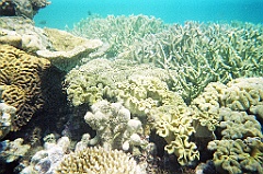 065 Great Barrier Reef